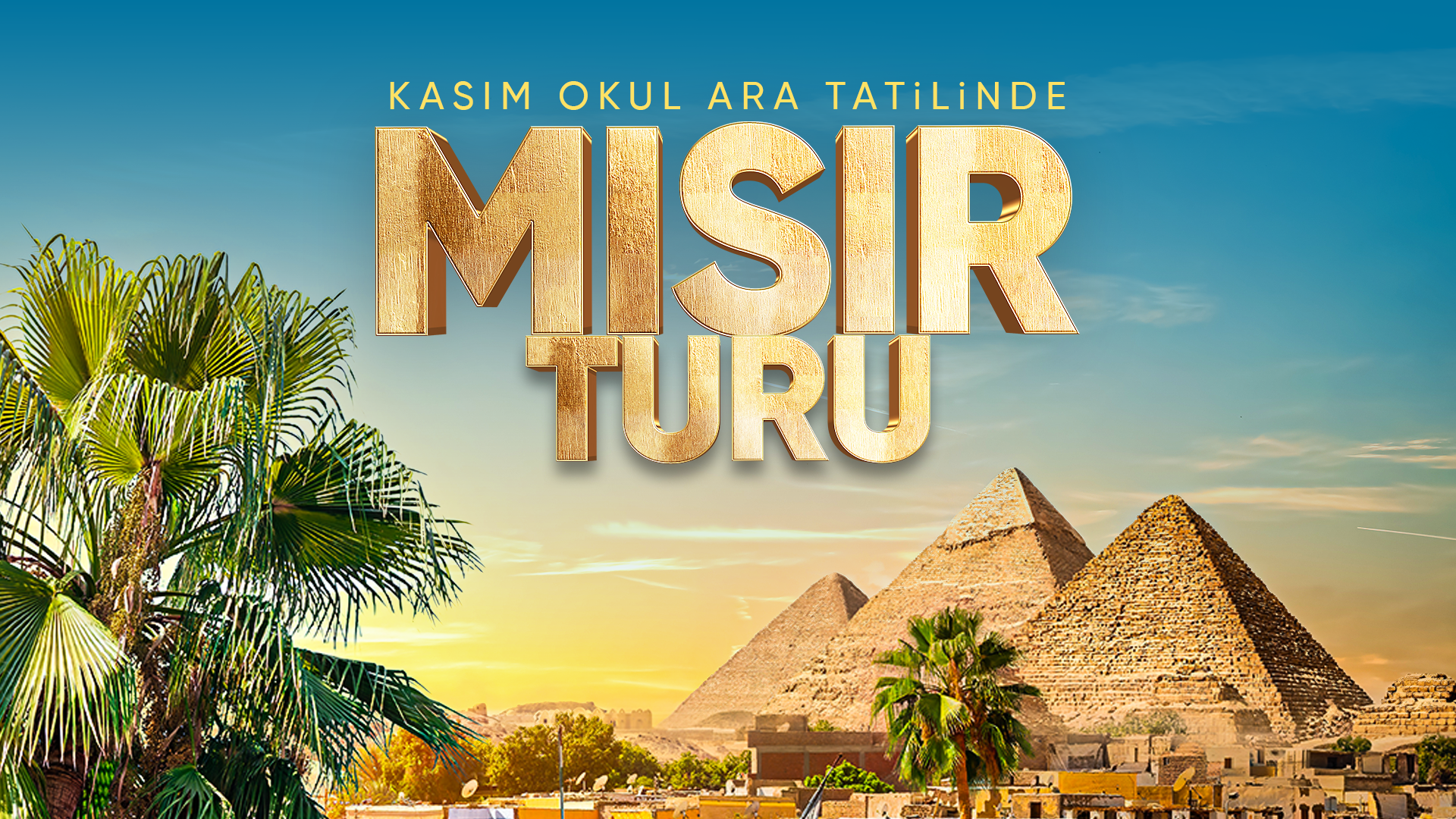 KASIM MISIR TURU